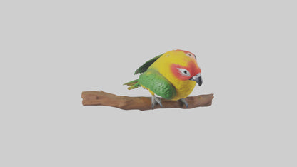 3D model Kea parrot perched model VR / AR / low-poly