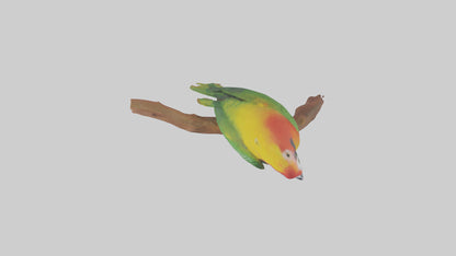 3D model Kea parrot perched model VR / AR / low-poly