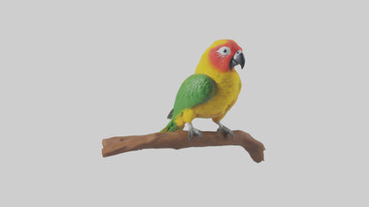 3D model Kea parrot perched model VR / AR / low-poly