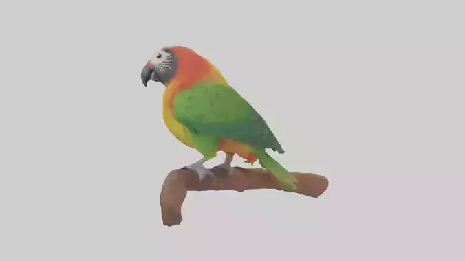 3D model Kea parrot perched model VR / AR / low-poly