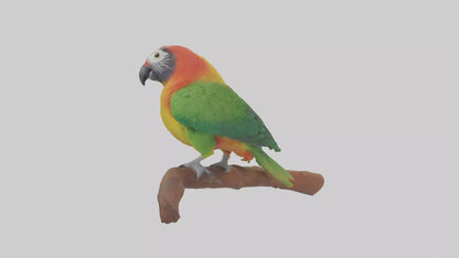 3D model Kea parrot perched model VR / AR / low-poly