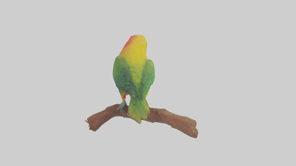 3D model Kea parrot perched model VR / AR / low-poly