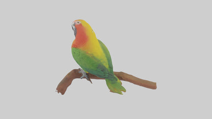 3D model Kea parrot perched model VR / AR / low-poly