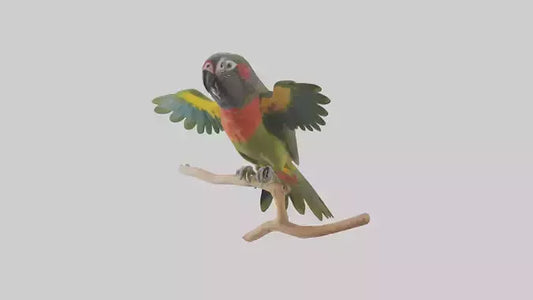 Kea Parrot playing model VR / AR / low-poly