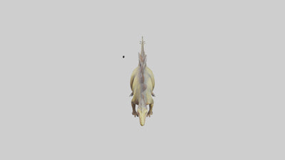3D model Kentrosaurus model VR / AR / low-poly