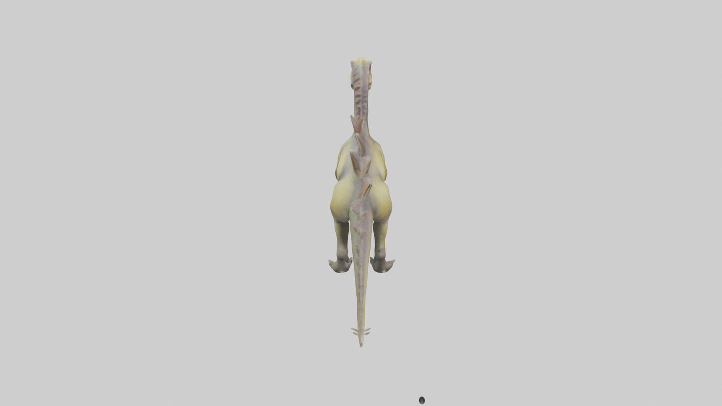 3D model Kentrosaurus model VR / AR / low-poly