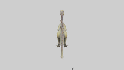 3D model Kentrosaurus model VR / AR / low-poly