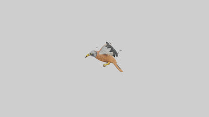 3D model Kestrel diving model VR / AR / low-poly