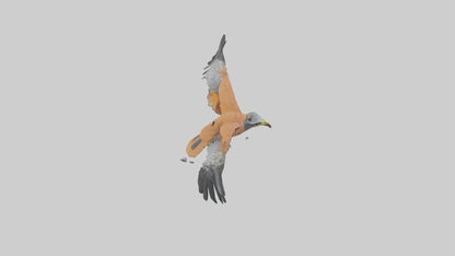 3D model Kestrel diving model VR / AR / low-poly