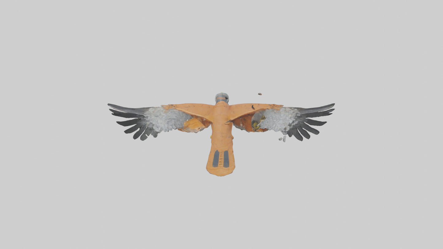 3D model Kestrel diving model VR / AR / low-poly