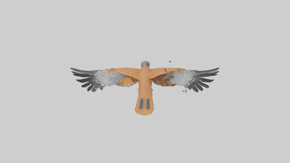 3D model Kestrel diving model VR / AR / low-poly