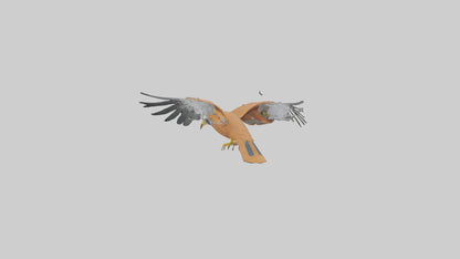 3D model Kestrel diving model VR / AR / low-poly