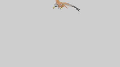 3D model Kestrel diving model VR / AR / low-poly