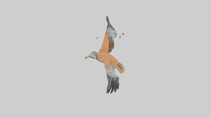 3D model Kestrel diving model VR / AR / low-poly