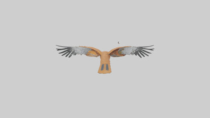 3D model Kestrel diving model VR / AR / low-poly