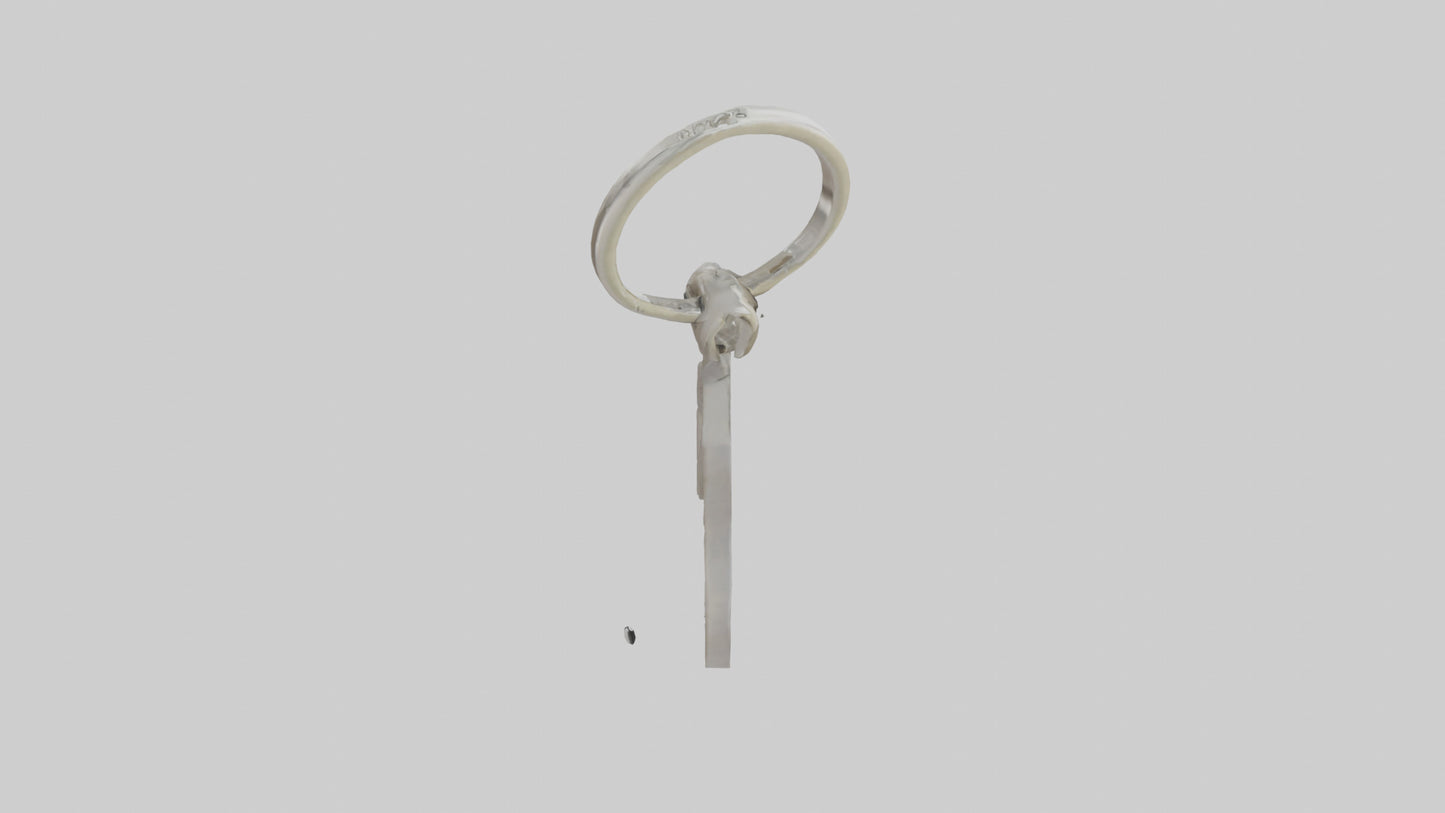 3D model Keyhole keychain model VR / AR / low-poly