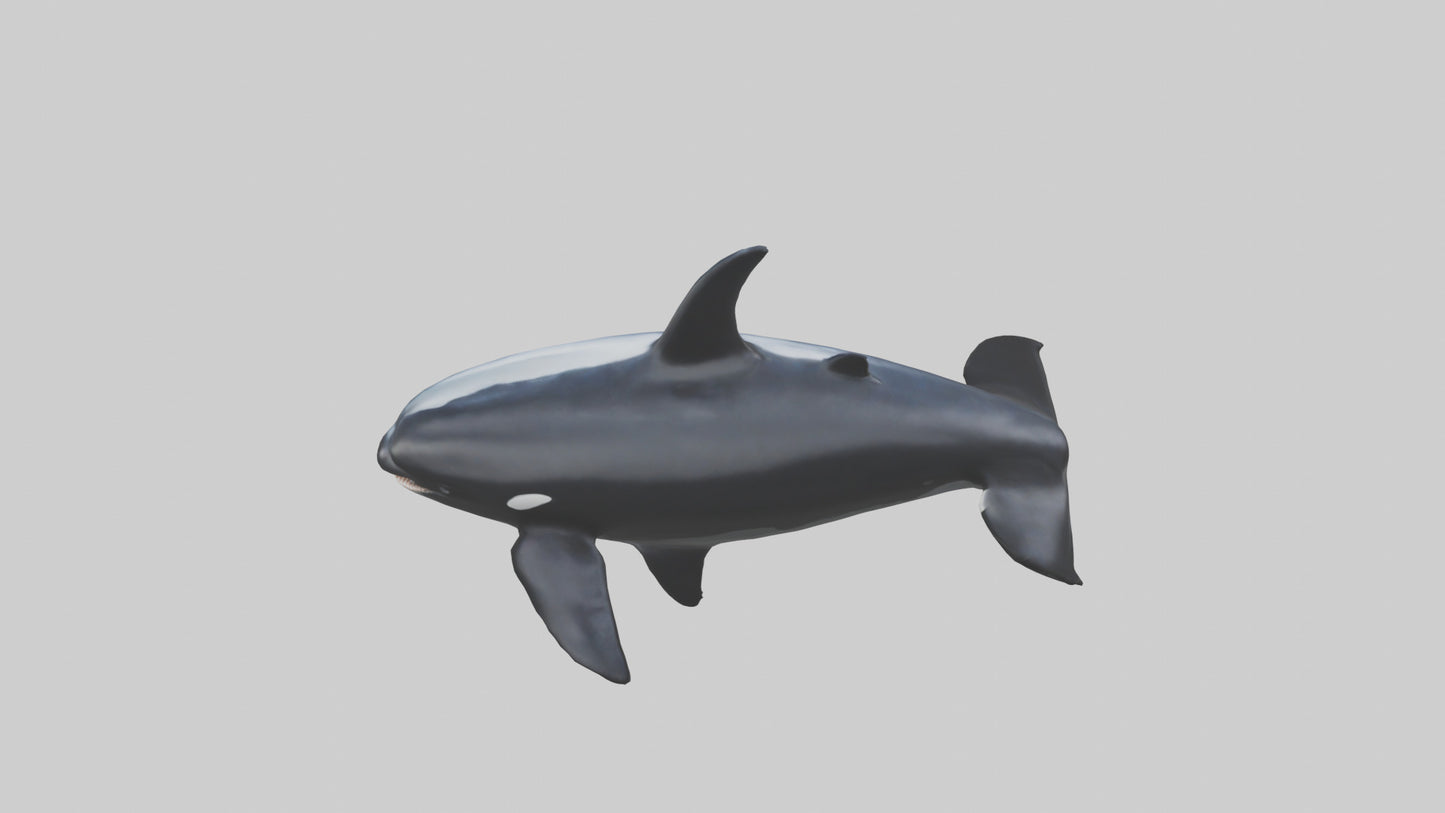 Killer ghost model 3D model