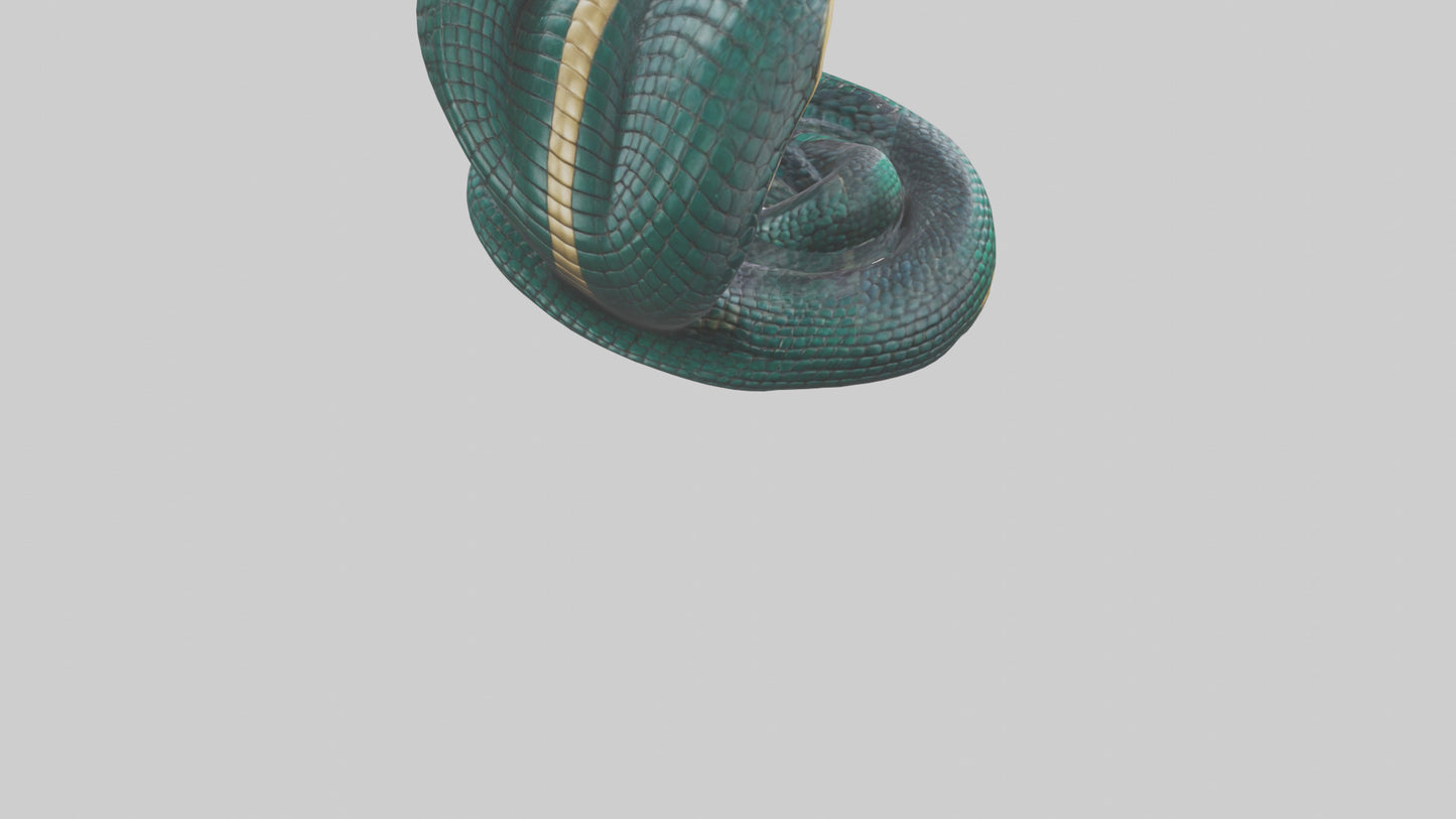 King Cobra statue model VR / AR / low-poly