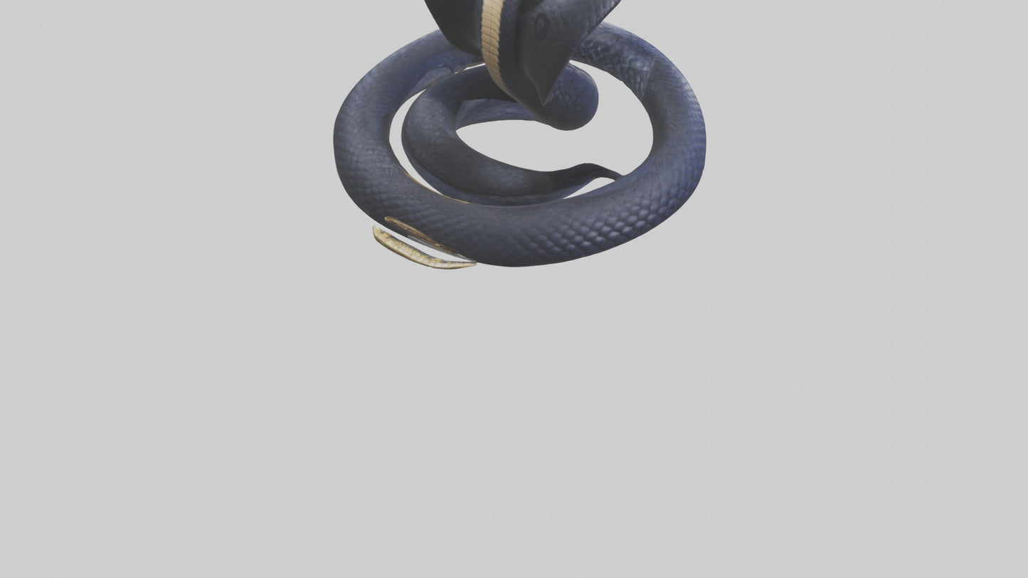 King Cobra striking model VR / AR / low-poly