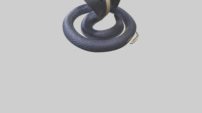 King Cobra striking model VR / AR / low-poly