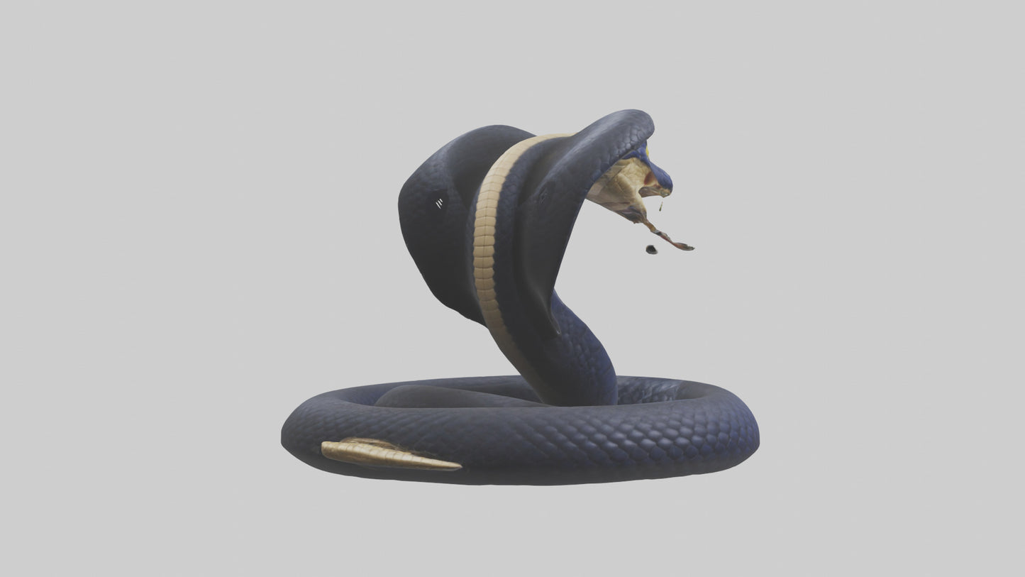 King Cobra striking model VR / AR / low-poly