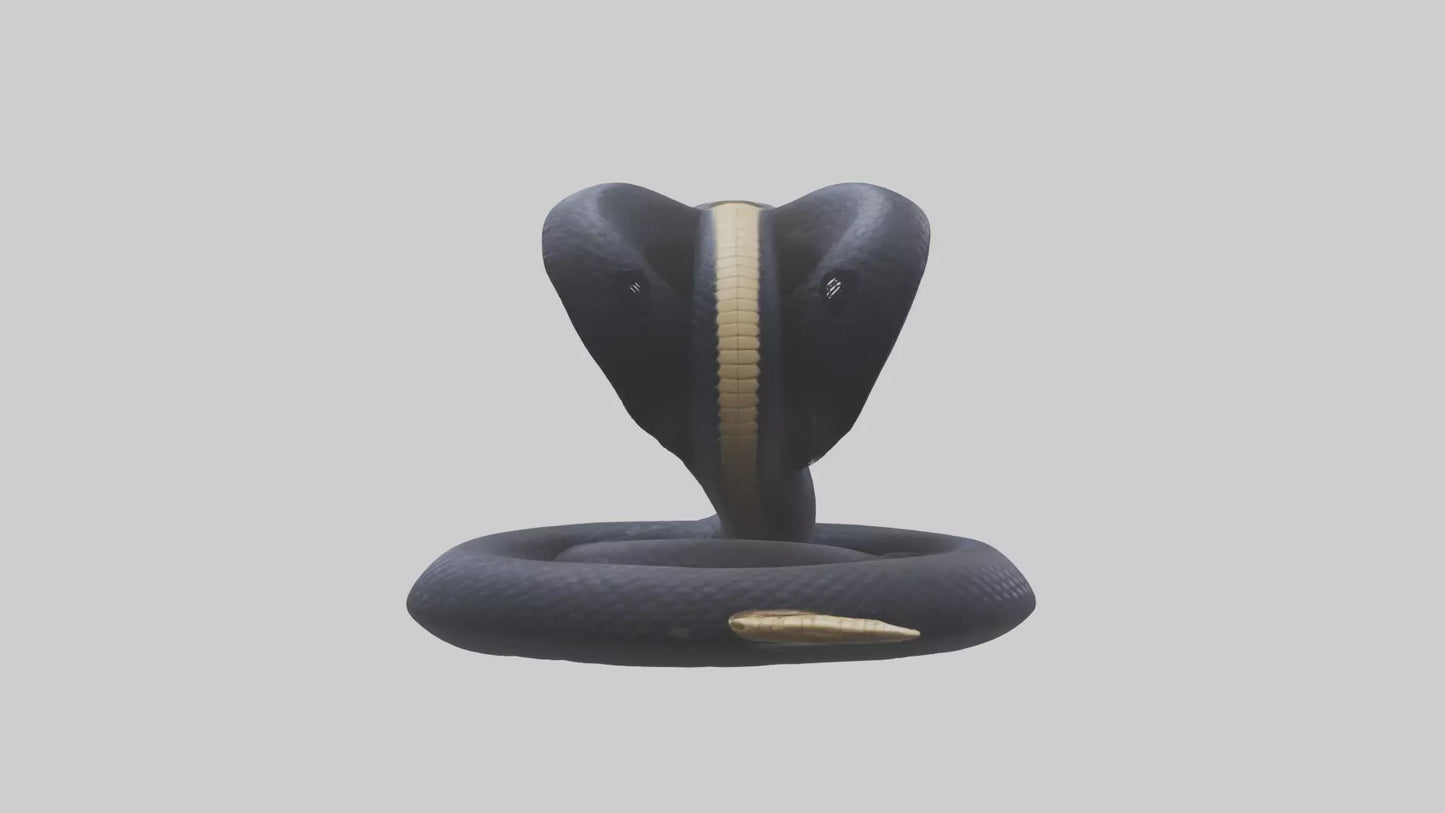 King Cobra striking model VR / AR / low-poly