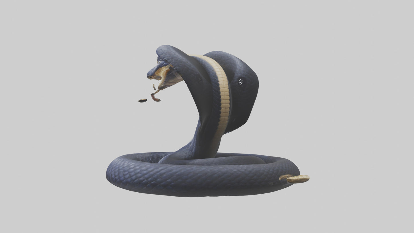 King Cobra striking model VR / AR / low-poly