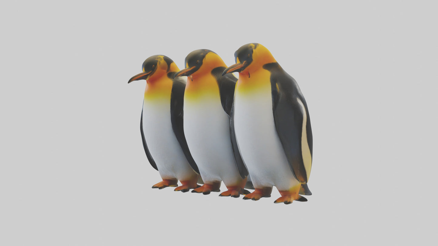 King Penguin huddling model VR / AR / low-poly