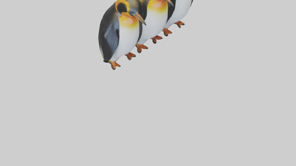 King Penguin huddling model VR / AR / low-poly