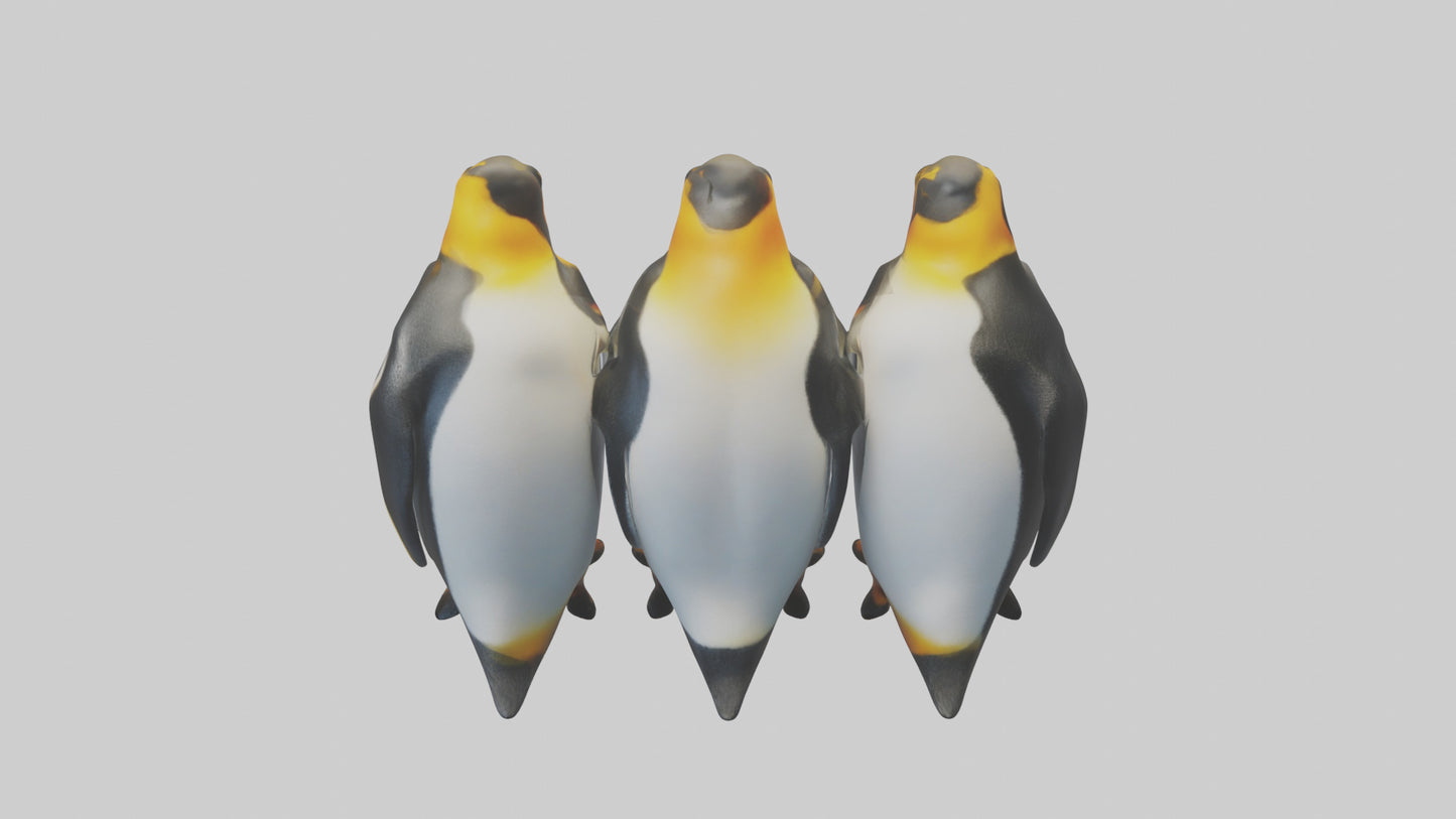King Penguin huddling model VR / AR / low-poly