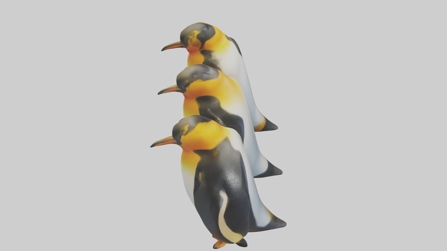 King Penguin huddling model VR / AR / low-poly
