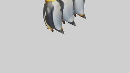 King Penguin huddling model VR / AR / low-poly