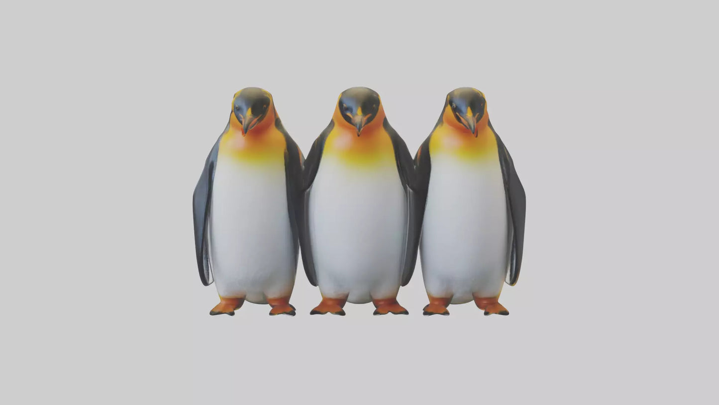 King Penguin huddling model VR / AR / low-poly