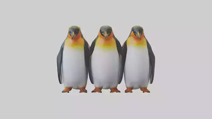 King Penguin huddling model VR / AR / low-poly