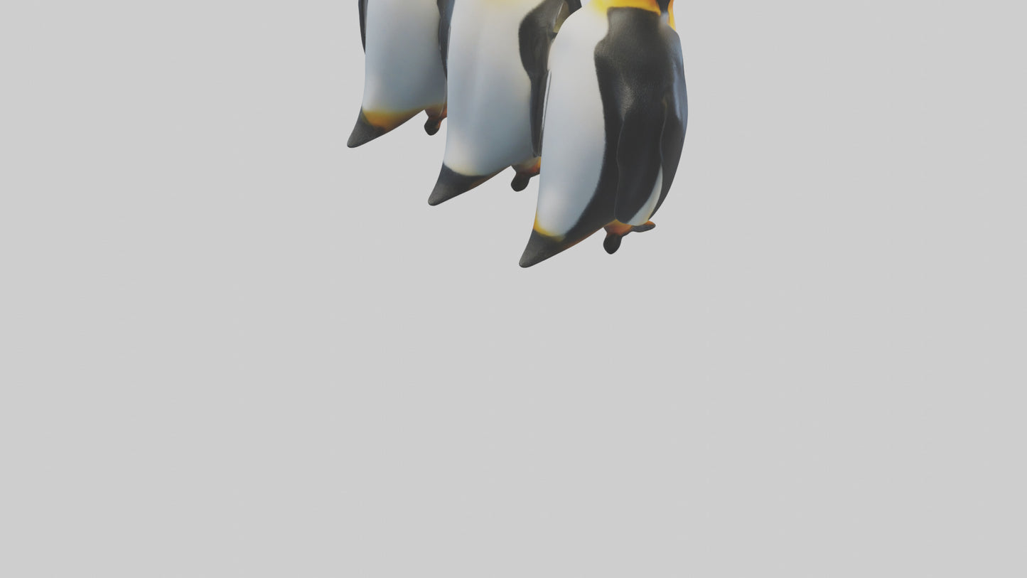 King Penguin huddling model VR / AR / low-poly