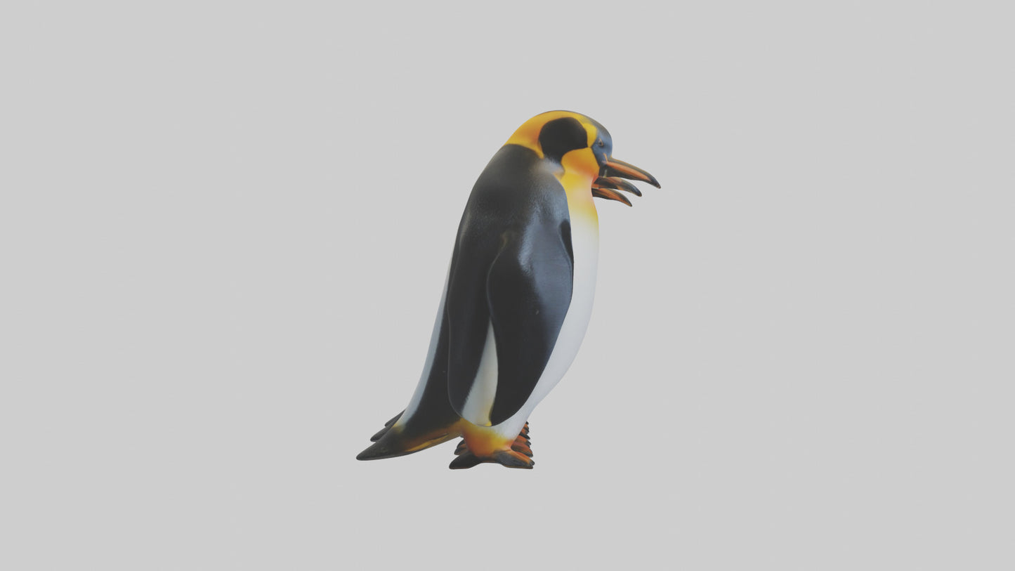 King Penguin huddling model VR / AR / low-poly