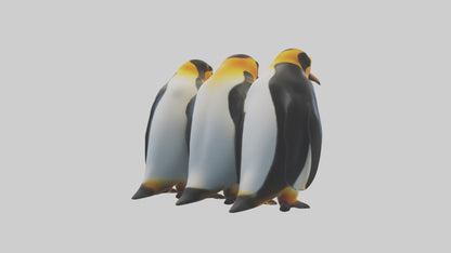 King Penguin huddling model VR / AR / low-poly