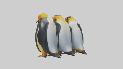 King Penguin huddling model VR / AR / low-poly