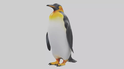 3D model King Penguin standing model VR / AR / low-poly