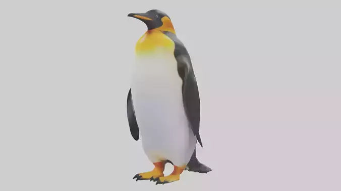 3D model King Penguin standing model VR / AR / low-poly