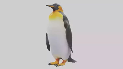 3D model King Penguin standing model VR / AR / low-poly