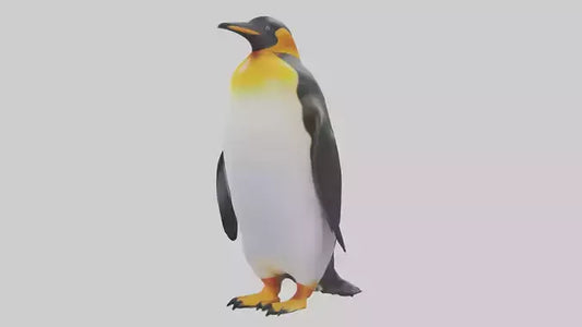 3D model King Penguin standing model VR / AR / low-poly