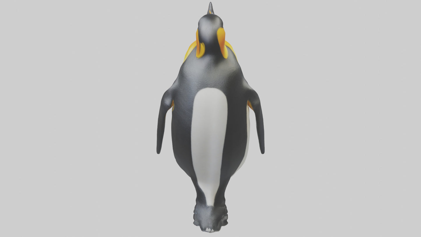 3D model King Penguin standing model VR / AR / low-poly