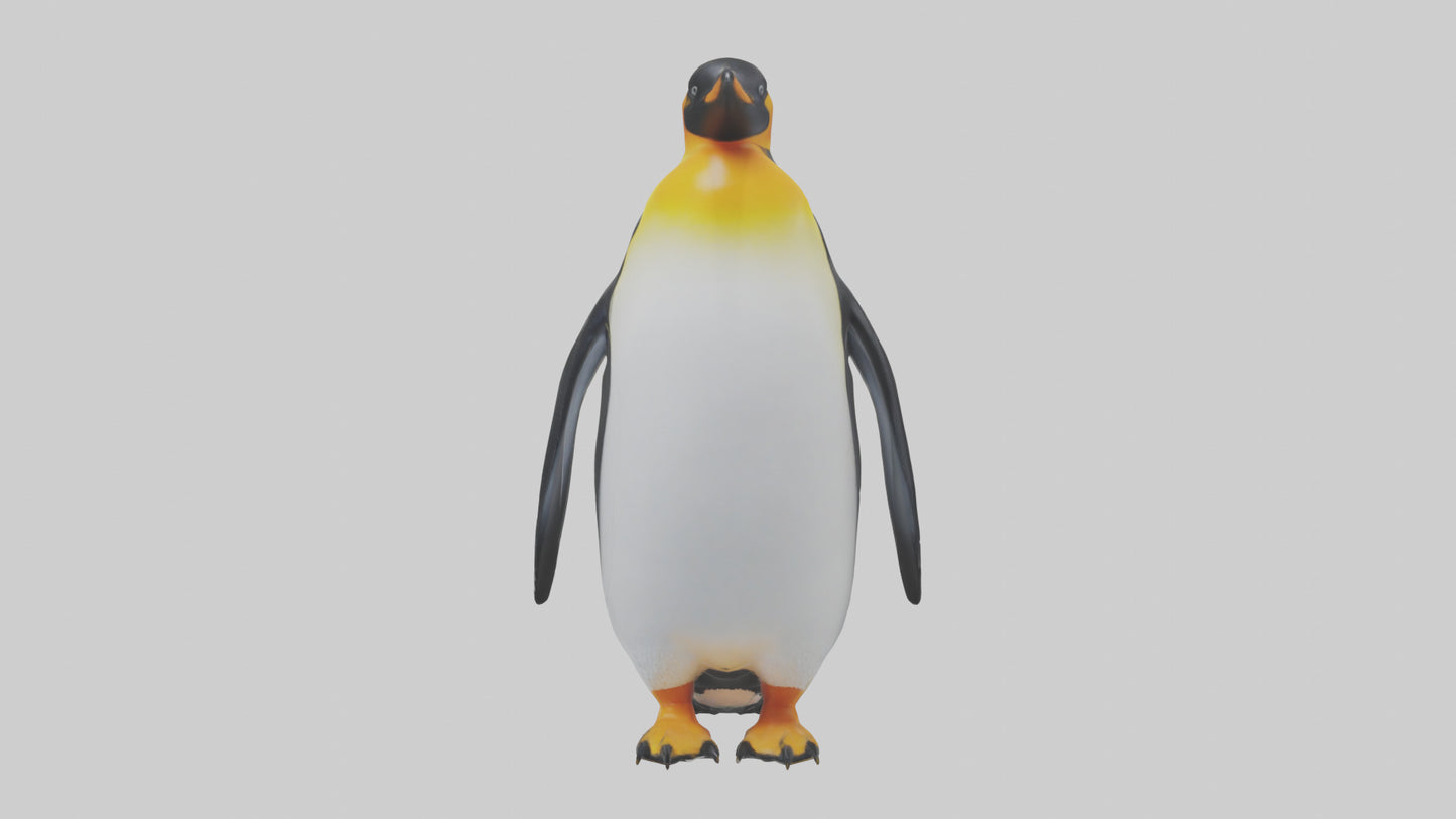 3D model King Penguin standing model VR / AR / low-poly
