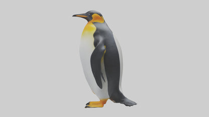 3D model King Penguin standing model VR / AR / low-poly
