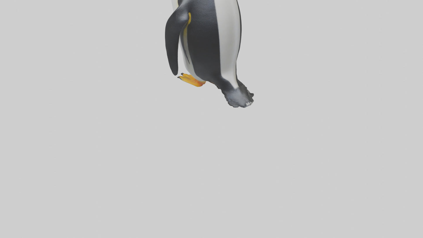 3D model King Penguin standing model VR / AR / low-poly