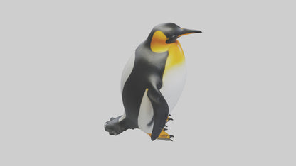 3D model King Penguin standing model VR / AR / low-poly