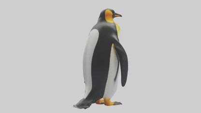 3D model King Penguin standing model VR / AR / low-poly