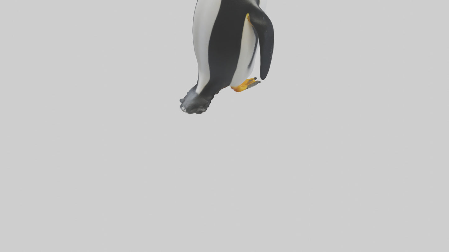 3D model King Penguin standing model VR / AR / low-poly