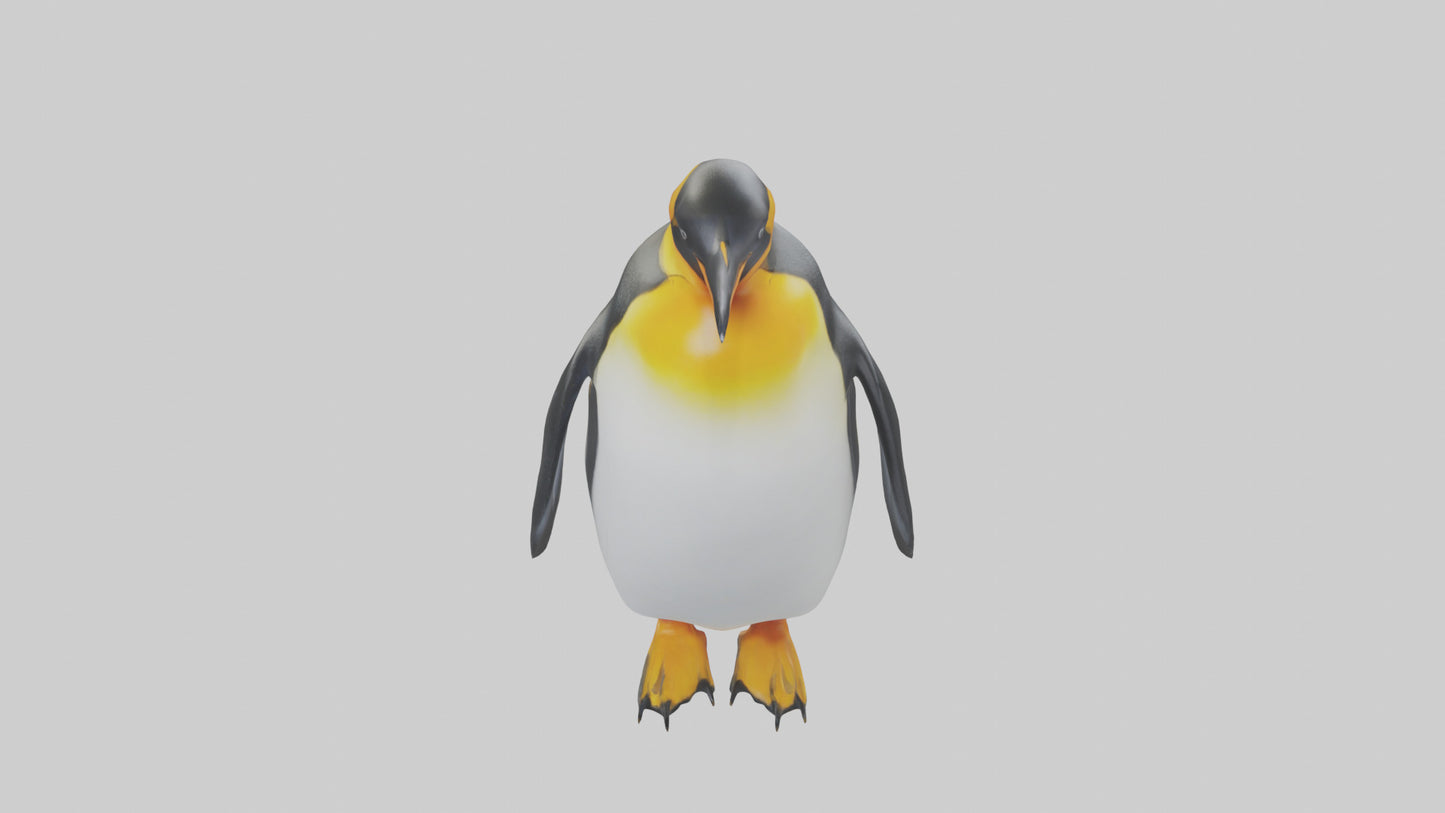 3D model King Penguin standing model VR / AR / low-poly
